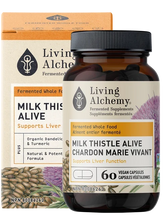 Chardon Marie Vivant