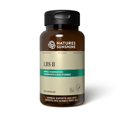 LBS II